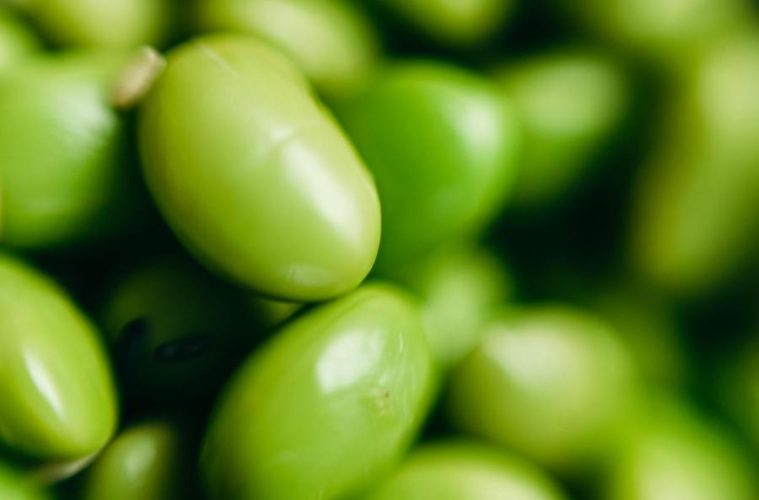 Proyecto para impulsar la fabricación de proteínas vegetales en Galicia