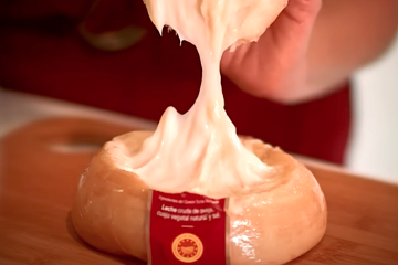 2024, mal año para la Torta del Casar por la subida de costes y enfermedad de las ovejas Foto DOP