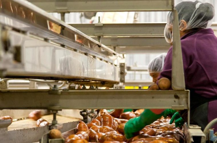 Los perfiles profesionales más demandados en Alimentación y Bebidas y sus salarios