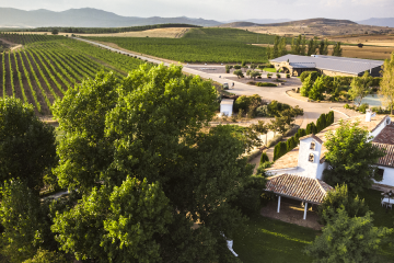 Los vinos de pago Río Negro, nueva Denominación de Origen Protegida