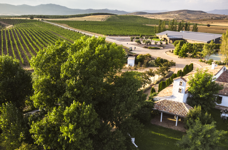 Los vinos de pago Río Negro, nueva Denominación de Origen Protegida