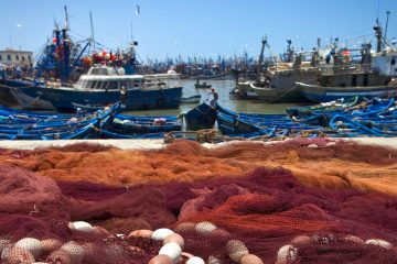 Málaga acogerá la sesión anual de la Comisión General de Pesca del Mediterráneo y mar Negro (Foto MAPA)