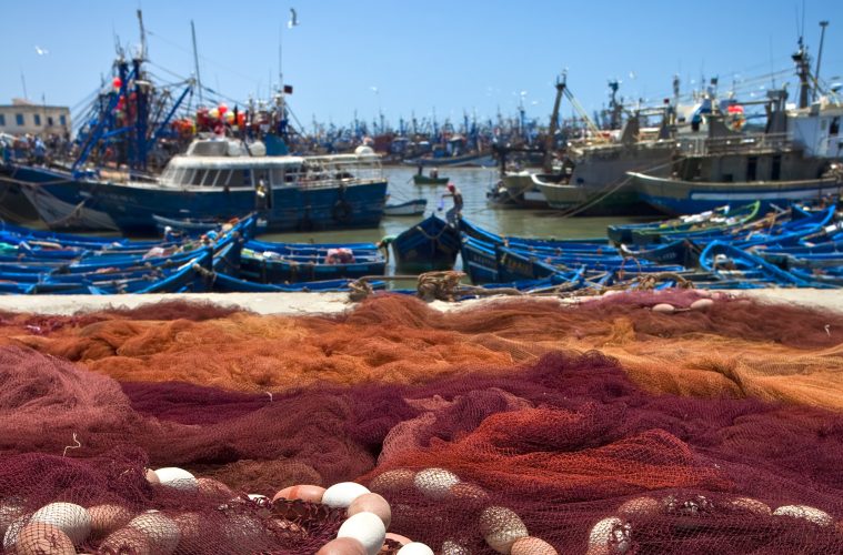 Málaga acogerá la sesión anual de la Comisión General de Pesca del Mediterráneo y mar Negro (Foto MAPA)