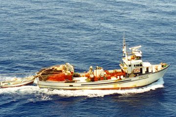 Pesca de la sardina ibérica Foto MAPA