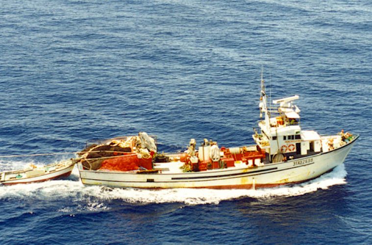 Pesca de la sardina ibérica Foto MAPA