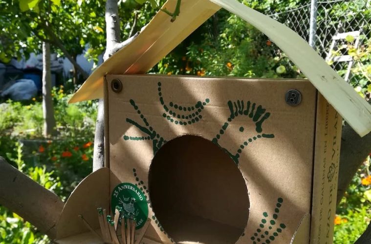 Reutilizar las cajas de huevos tiene premio