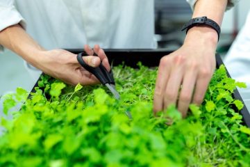 Ya se pueden presentar candidaturas a los Premios a la Innovación para Mujeres Rurales