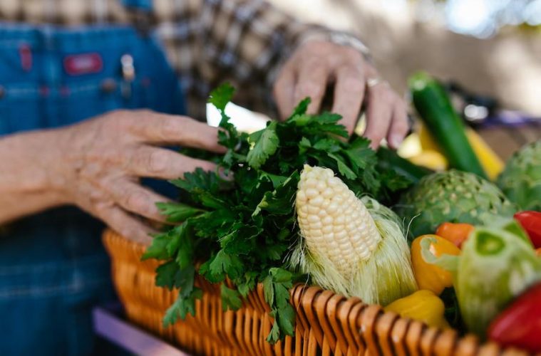 Buscando productores que estén transformando el sector agroalimentario con prácticas sostenibles
