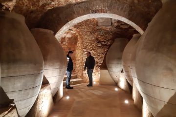 En marcha la nueva Ruta del Vino de Cercanías Madrid