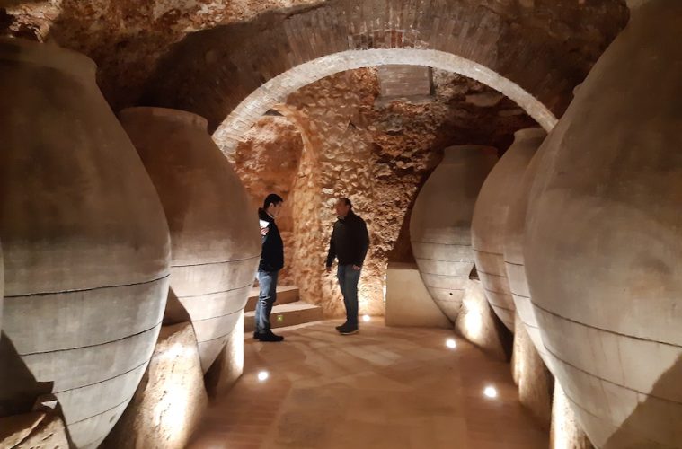 En marcha la nueva Ruta del Vino de Cercanías Madrid