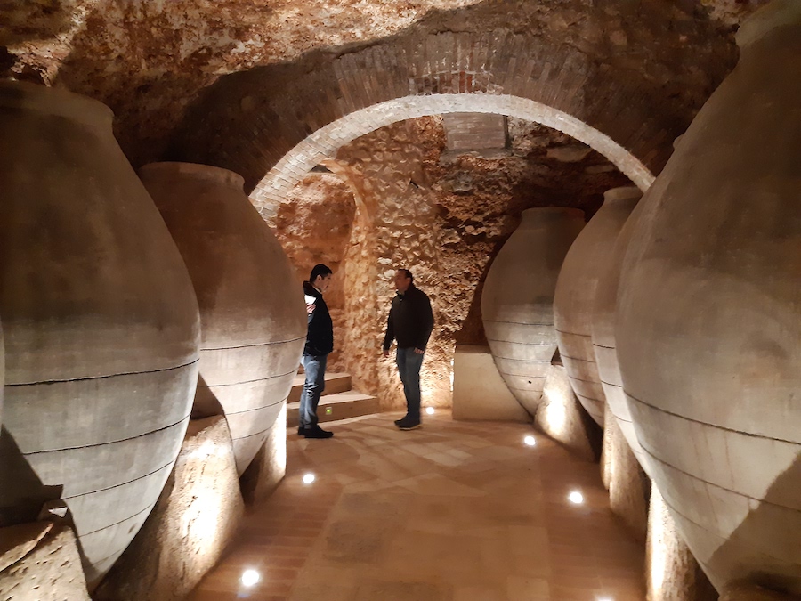 En marcha la nueva Ruta del Vino de Cercanías Madrid