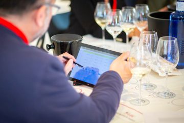 Los 50 vinos que han conseguido el Gran Bacchus de Oro 2025