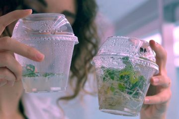 Nuevas técnicas genómicas que pueden mejorar las variedades vegetales cultivables Foto MAPA