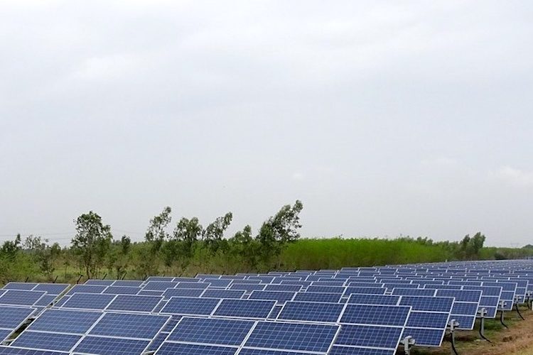 Sistemas agrivoltaicos o cómo aprovechar la agricultura para generar energía solar