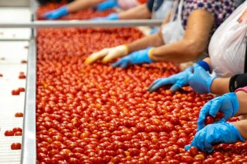 A pesar del incierto contexto global, la industria alimentaria sigue estable y creciendo