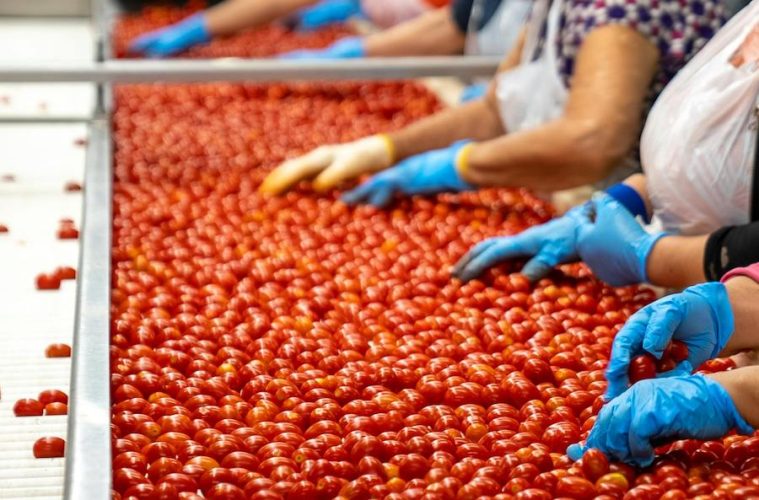 A pesar del incierto contexto global, la industria alimentaria sigue estable y creciendo