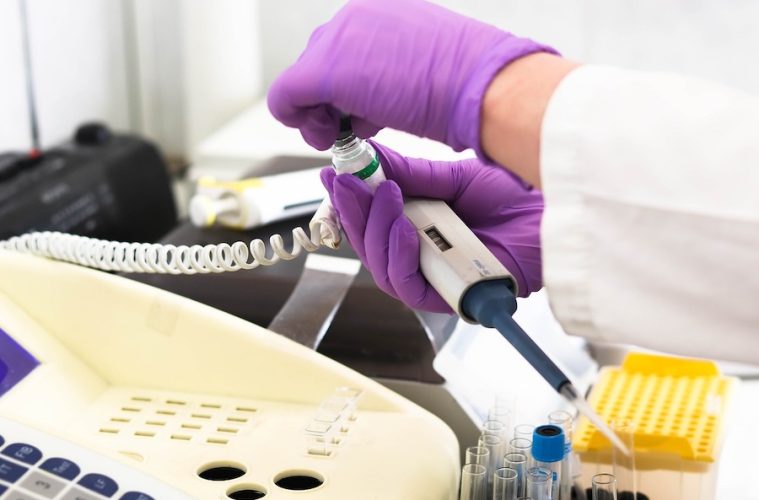 España, segundo país del mundo en investigación sobre vino y salud, sólo por detrás de China