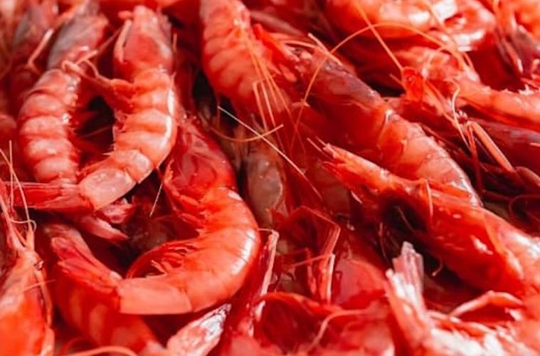 Este año tendremos menos gamba roja del Mediterráneo (Foto: MAPA)
