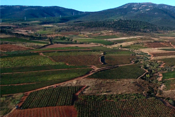 Las Ciudades del Vino se reúnen en Cariñena Foto Acevin