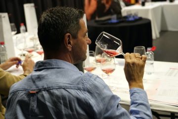 Los mejores vinos del año de las Denominaciones de Origen Jumilla y Cigales (Foto DOP Cigales)