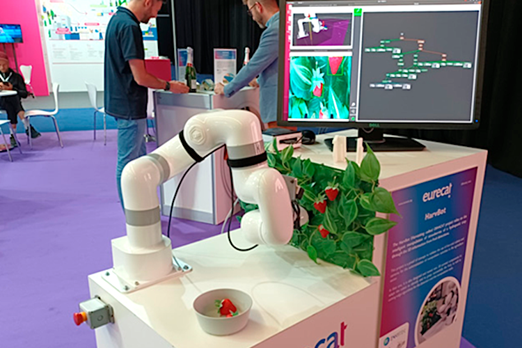 Los últimos avances en robots agrícolas Foto Eurecat, HarvBot)