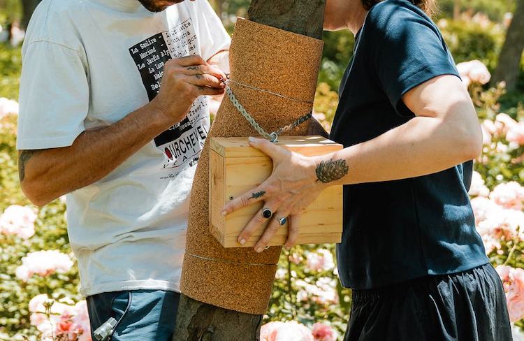 Refugios para polinizadores en los parques de Barcelona