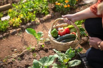 Se buscan productores dispuestos a dar el paso a la agricultura regenerativa