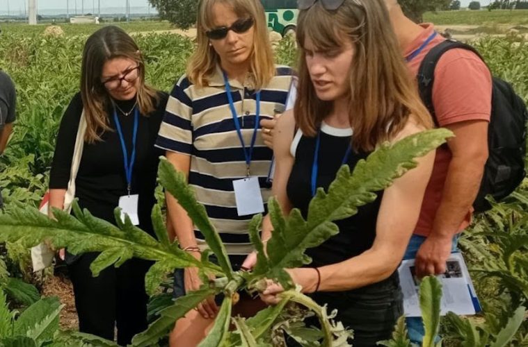 De la Tierra al Plato, los jóvenes hosteleros conectan con el sector primario (Foto INTIA)
