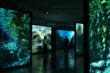 Ecos del Océano, exposición sobre el impacto humano en los ecosistemas marinos
