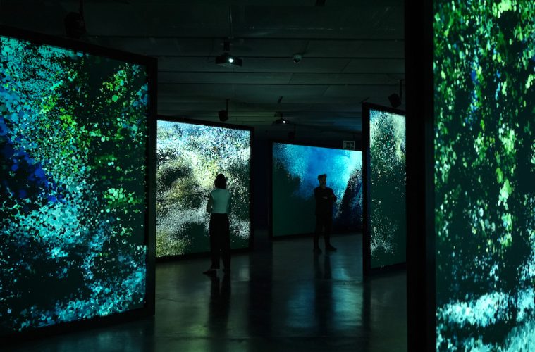 Ecos del Océano, exposición sobre el impacto humano en los ecosistemas marinos
