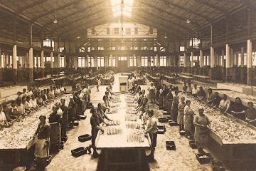 El origen de un producto, las conservas Foto Museo Anfaco de la Industria Conservera
