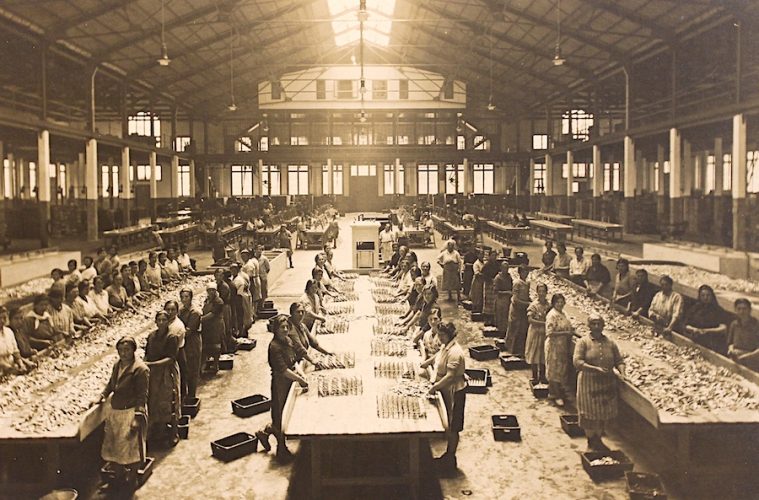 El origen de un producto, las conservas Foto Museo Anfaco de la Industria Conservera