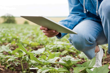 El relevo generacional agrario, vinculado a la innovación y las nuevas tecnologías (Foto MAPA)