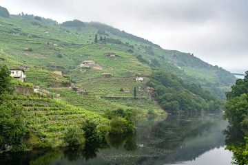 La Ruta del Vino Ribeira Sacra se incorpora al club de Rutas del Vino de España (foto Acevin)