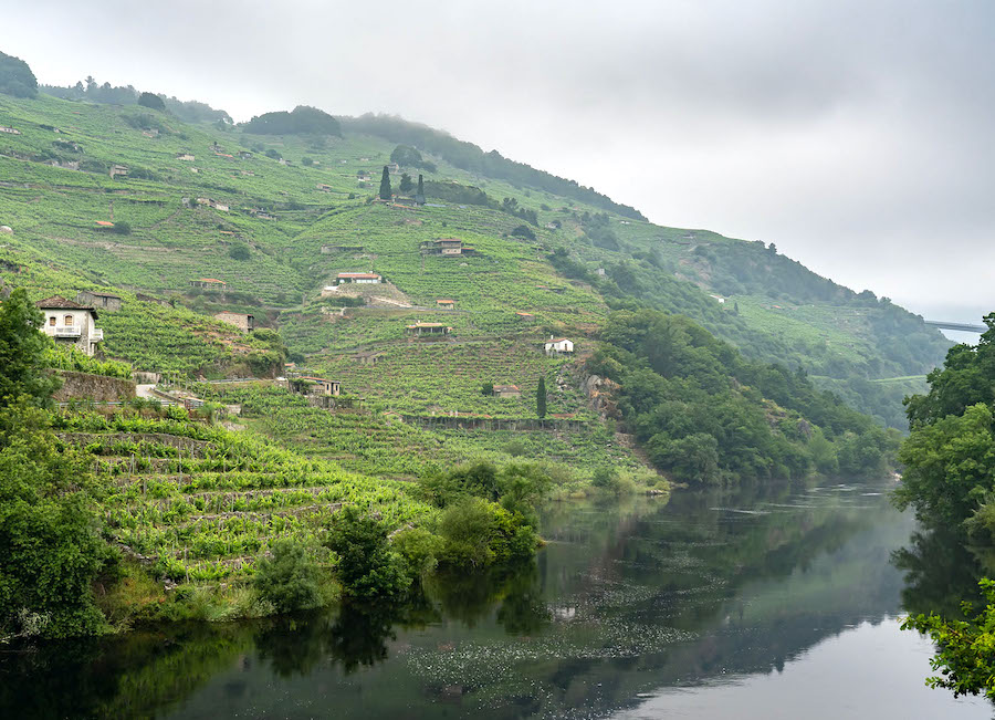 La Ruta del Vino Ribeira Sacra se incorpora al club de Rutas del Vino de España