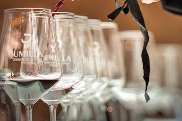 La añada 2024 de Jumilla, calificada como Muy Buena (Foto DOP)
