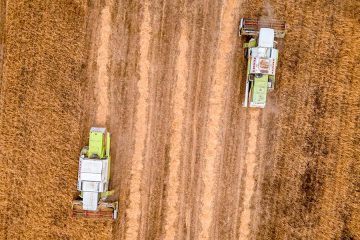 Las previsiones para la campaña de cereales son de recuperación gracias a las condiciones climáticas