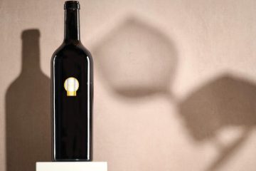 Los 50 mejores vinos del mundo, según los World Wine Awards 2025 (Foto Decanter)