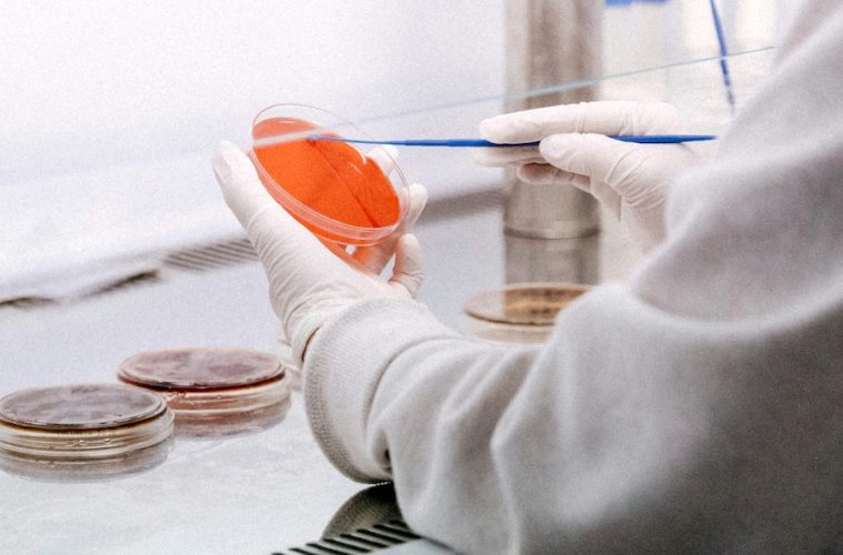 Tres jóvenes científicos y sus investigaciones que impulsarán la transformación alimentaria