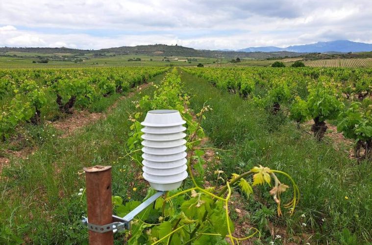 Tres startups españolas seleccionadas por Test Farms