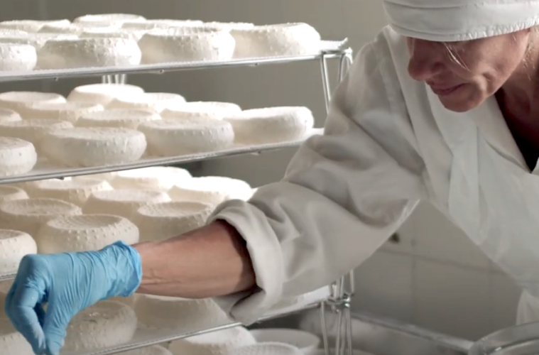 Cheese, el evento internacional de Slow Food dedicado al queso de leche cruda (Foto: Cheese)