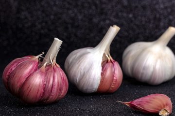 Comienza la Feria Internacional del Ajo de Las Pedroñeras