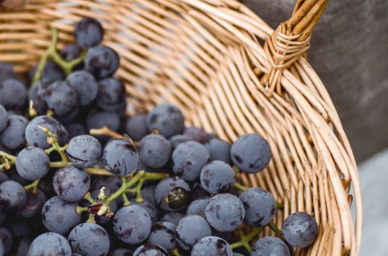 El cambio climático, una amenaza para la producción de cava (Foto Codorniu)