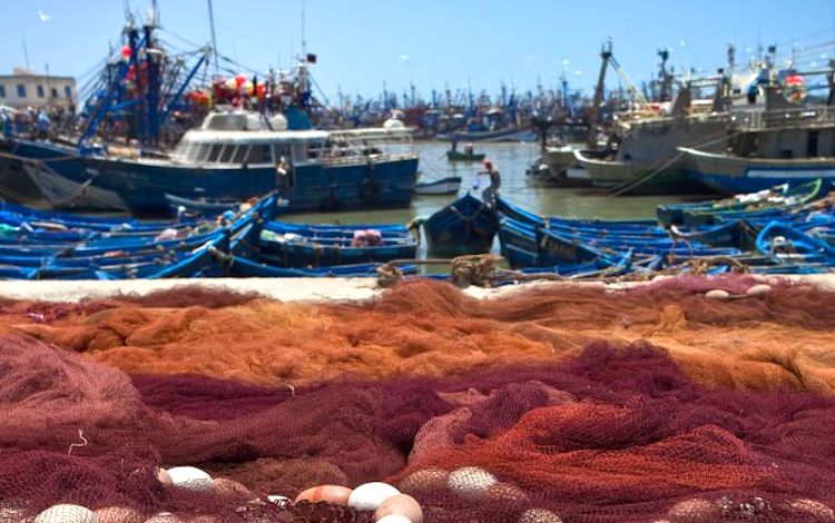 España recurre ante el Tribunal de Justicia de la UE la prohibición de la pesca de palangre de fondo