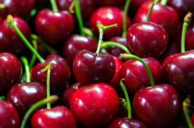 China autoriza la importación de cereza española