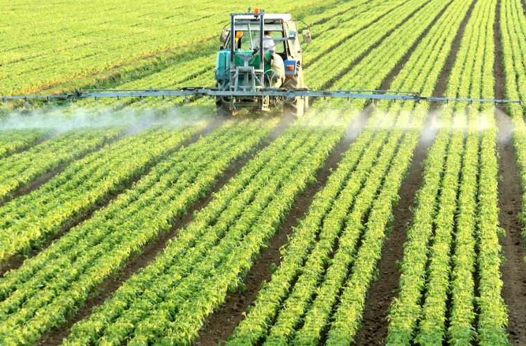 El precio medio de la tierra para uso agrario sigue creciendo (Foto MAPA)