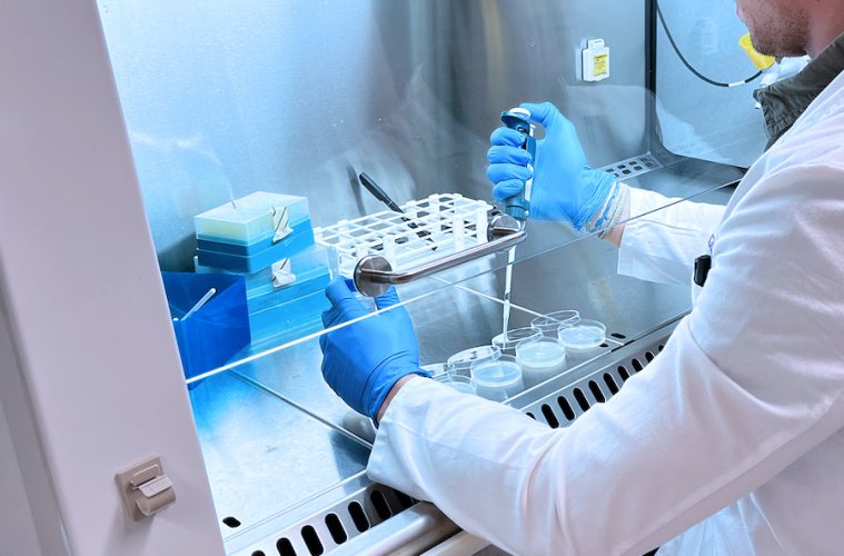 Estudio científico sobre el potencial de residuos agrícolas para mejorar la salud de la piel (Foto Eurecat)