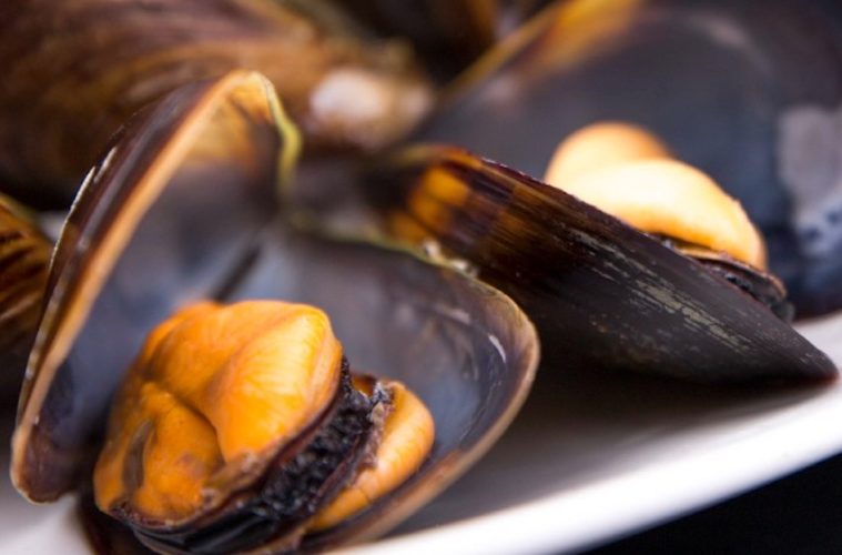 Fiesta del Mejillón y el Berberecho en Vilanova de Arousa