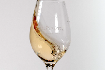 Los mejores albariños de la añada 2024 (Foto DOP)