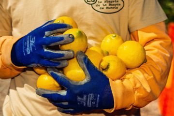 En defensa de los limones feos